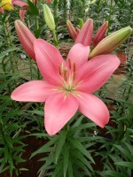 [5058 Indian Summerset No01.JPG]